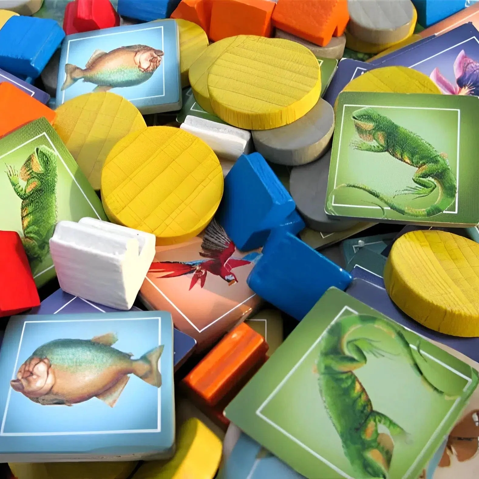 Amazonas: Explore a Dangerous Paradise - Board Game - Thames & Kosmos - Image 10