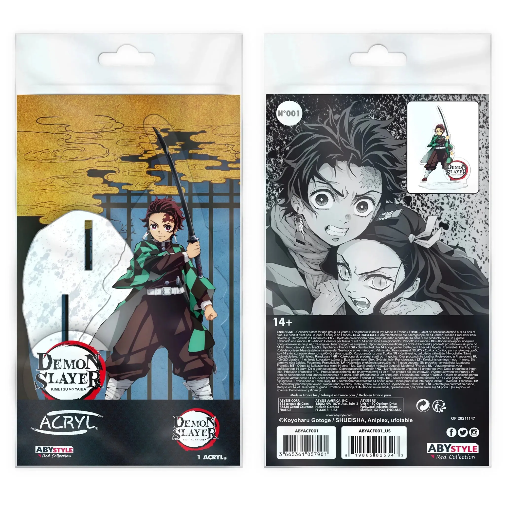 Demon Slayer - Tanjiro Kamado Standee Figure (Version A, Acrylic) - ABYstyle - Acryl Series - Image 3