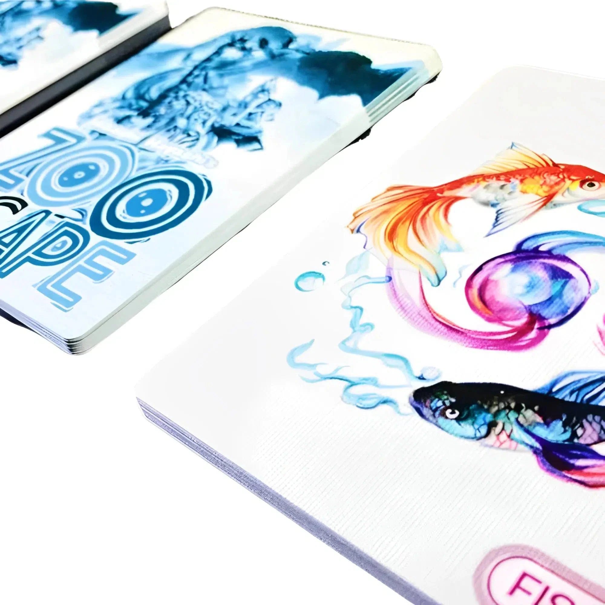 Hisashi Hayashi's Zooscape - Card Game - Tasty Minstrel Games - Image 4