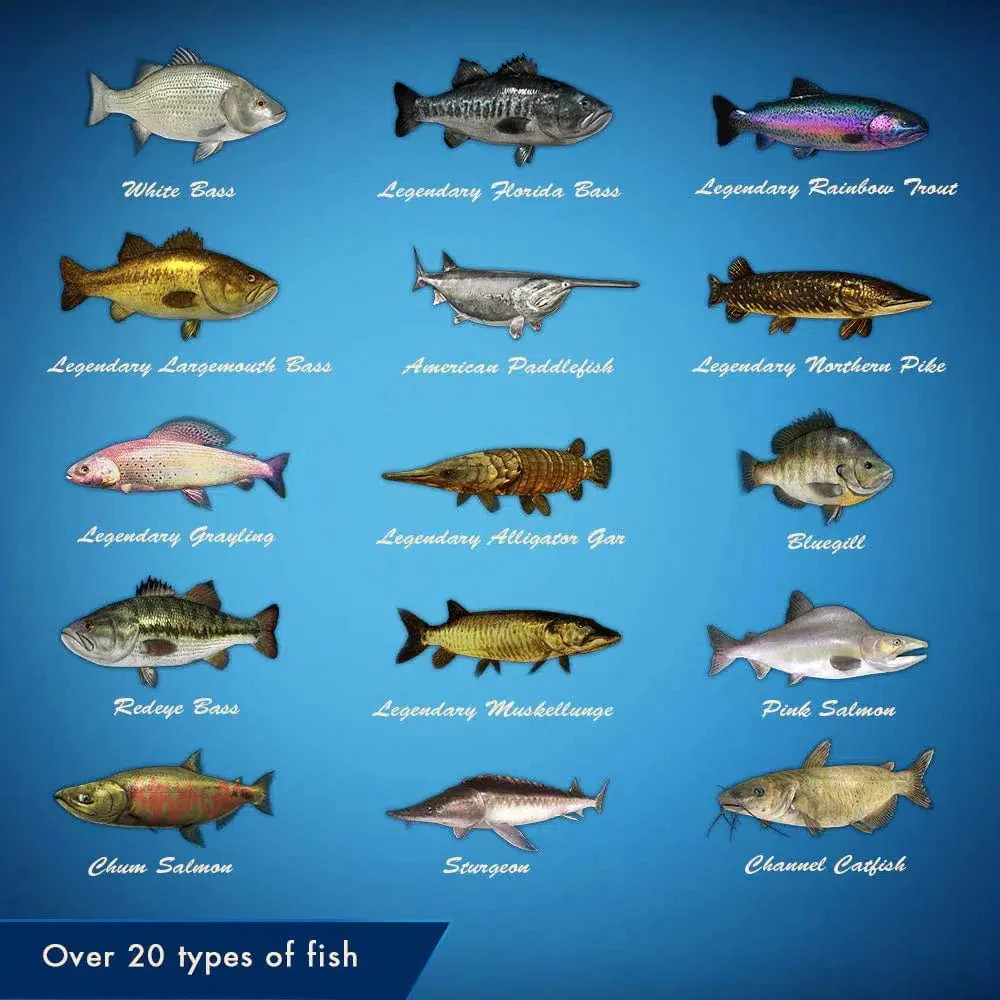 Legendary Fishing - Nintendo Switch - Image 5
