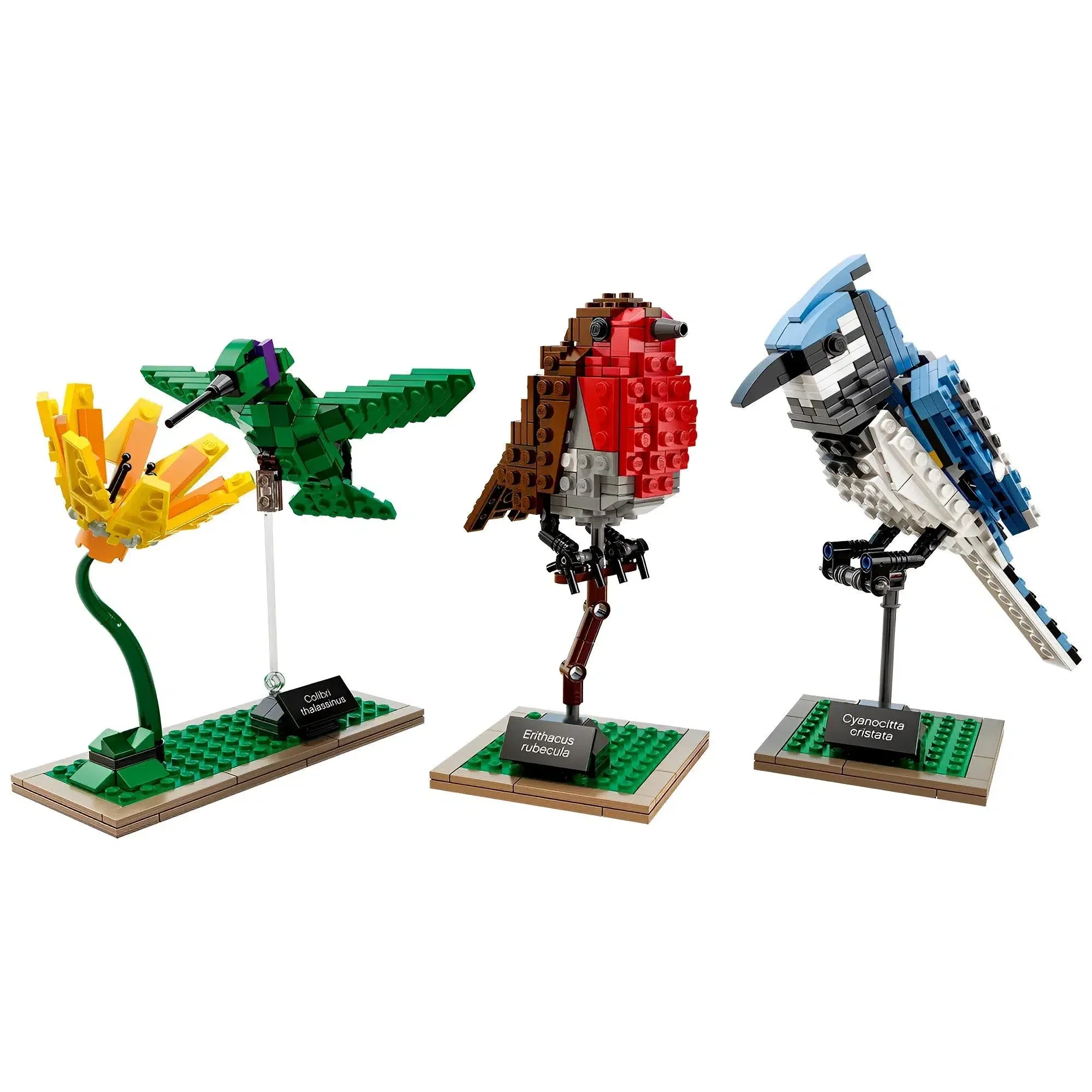 LEGO [Ideas] - Birds Building Set (21301) - Image 2