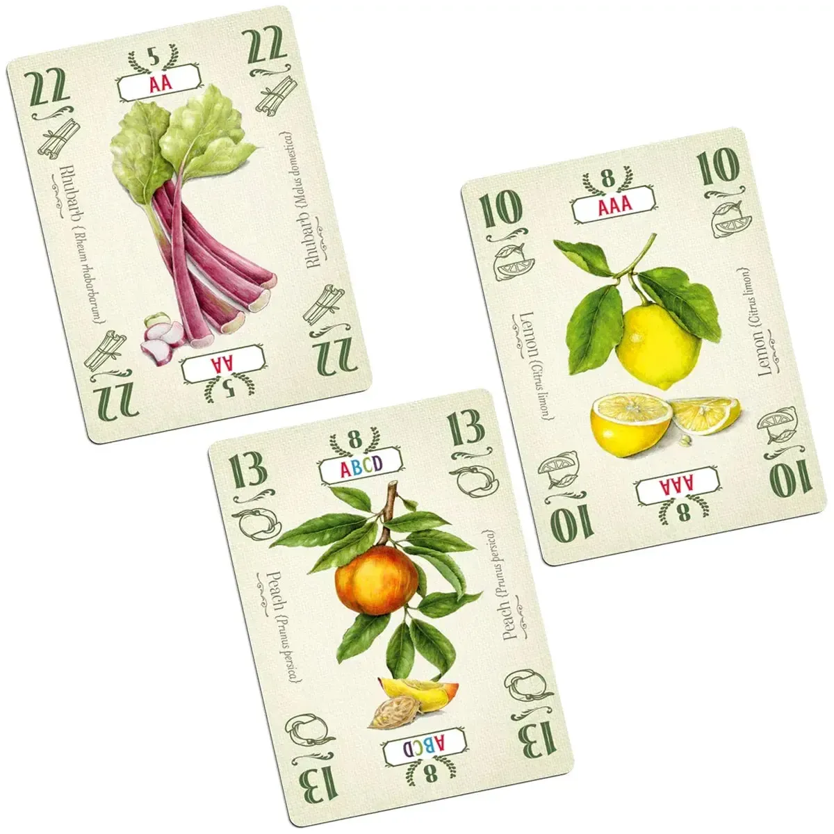 Pies - Competitive Food Card Game for Family, Adults, and Children (3-5 Players, Ages 11+) - Allplay - Image 5