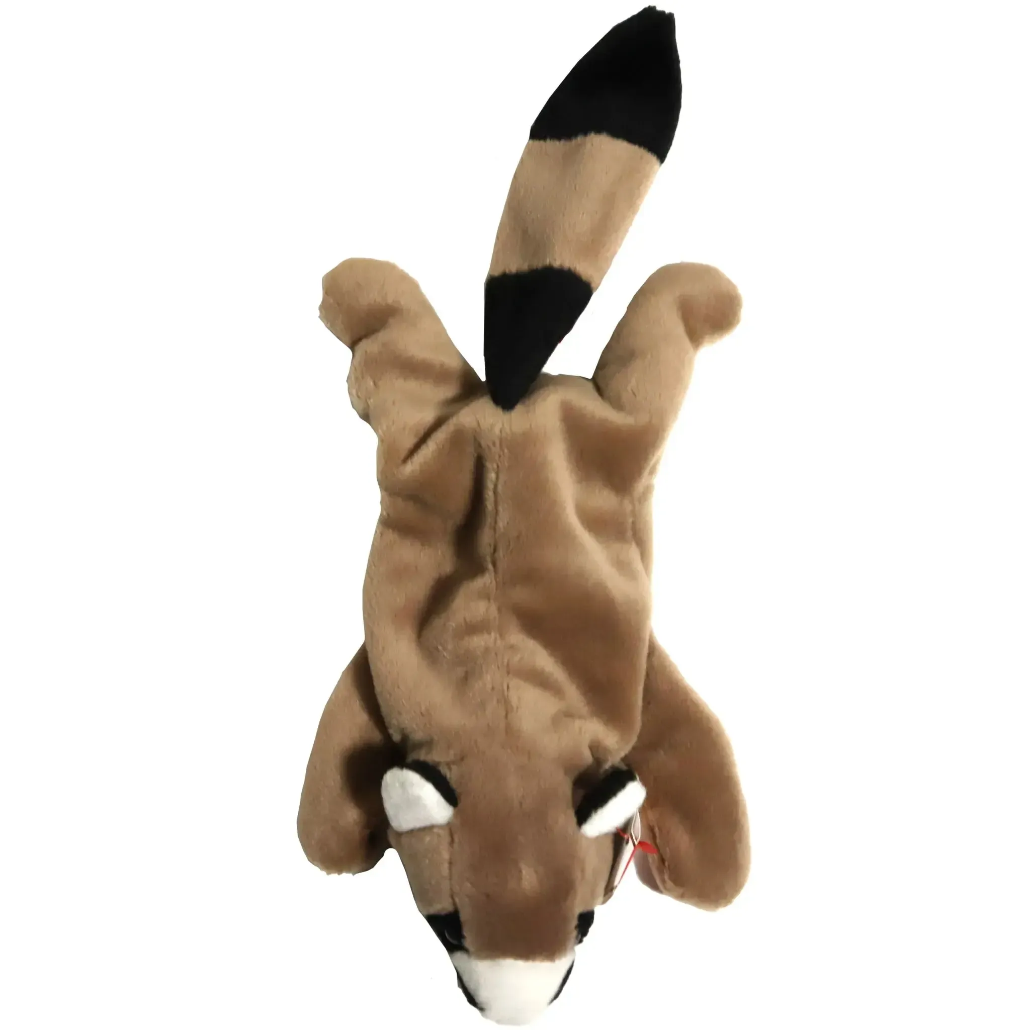 Ringo the Raccoon Plush (8") - Ty - Original Beanie Babies Series (1995) - Image 2