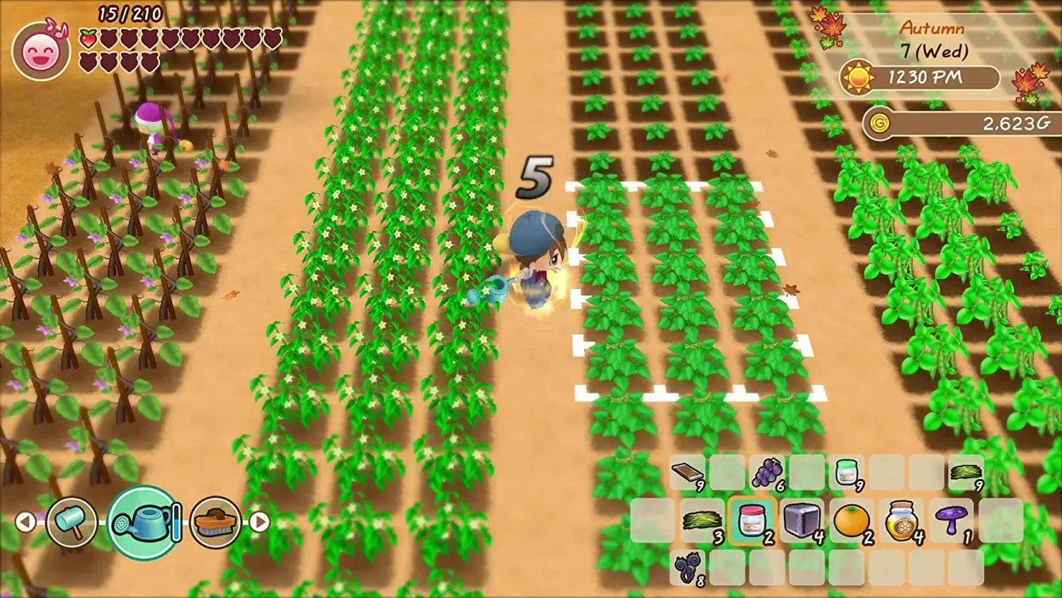 Story of Seasons: Friends of Mineral Town - Nintendo Switch - Image 2