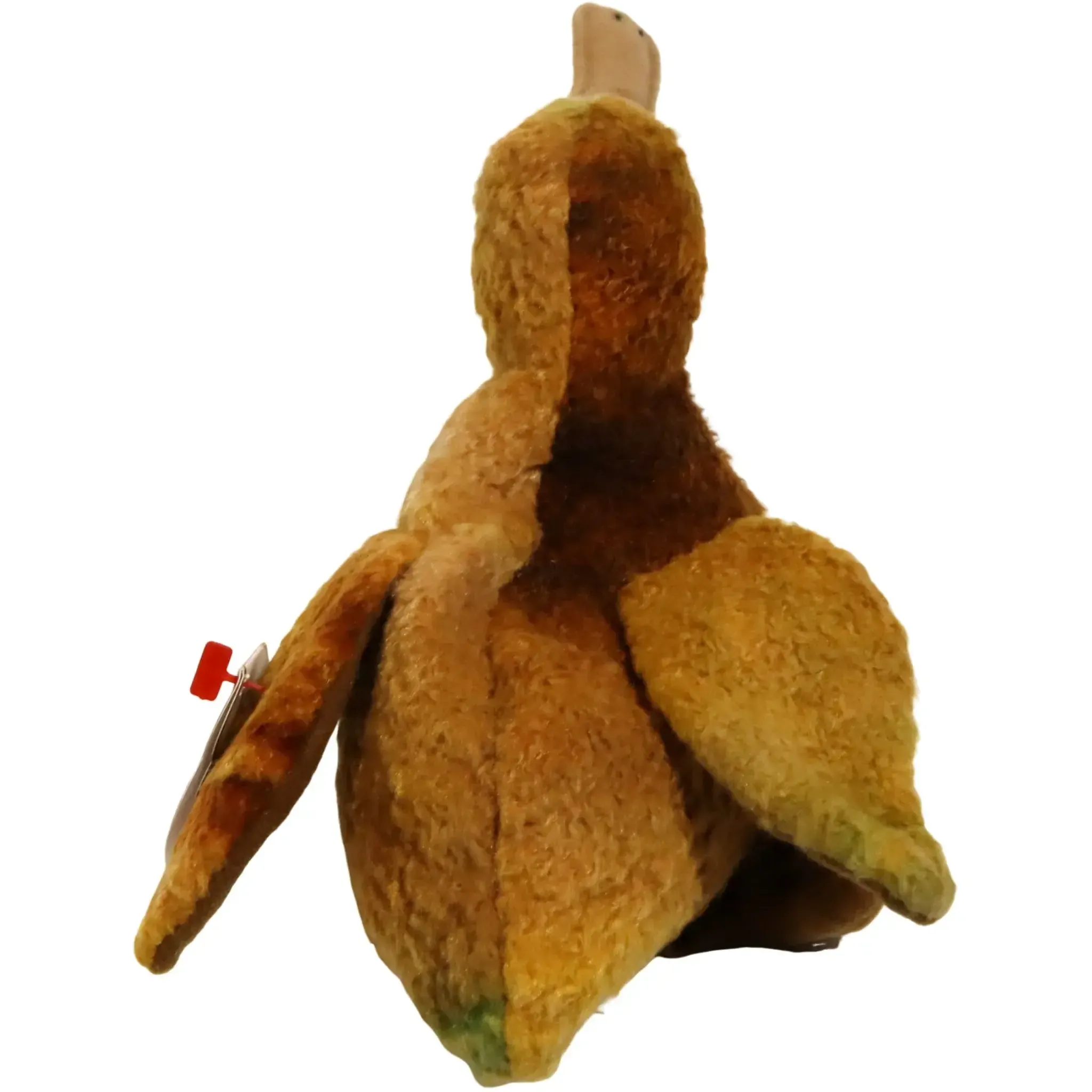 Whiskers the Kiwi Bird Plush (6") - Ty - Original Beanie Babies Series (1998) - Image 3